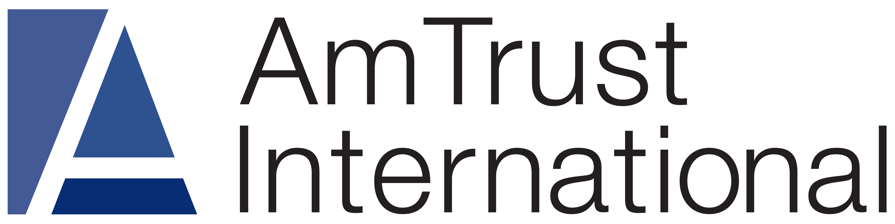 Link to AmTrust International website
